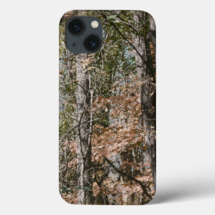 Caça/pesca da natureza da camuflagem de Camo da