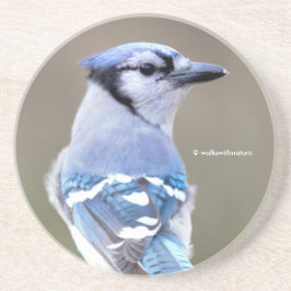 Caçador de Jay Azul-Cinto na Porta copos do Treest