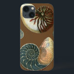 Cacau<br><div class="desc">Obtenha esta imagem exclusiva de concha azul e vermelha de pedra no seu próximo produto. Este incrível fundo de cacau nestas duas conchas únicas. Leve a praia com você para onde quer que vá.</div>