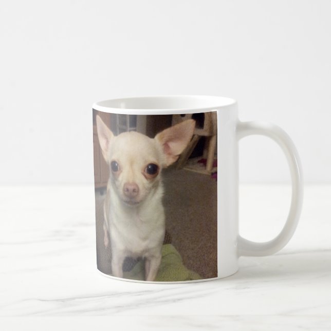 Cacau a caneca da chihuahua (Direita)