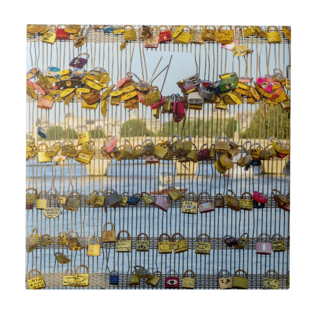 Cachinhos de amor em Pont de Solferino - Paris, Fr (Frente)