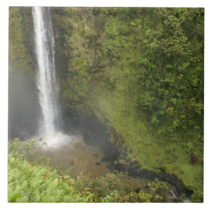 Cachoeira Akaka, Costa de Hamakua, Ilha do Havaí,