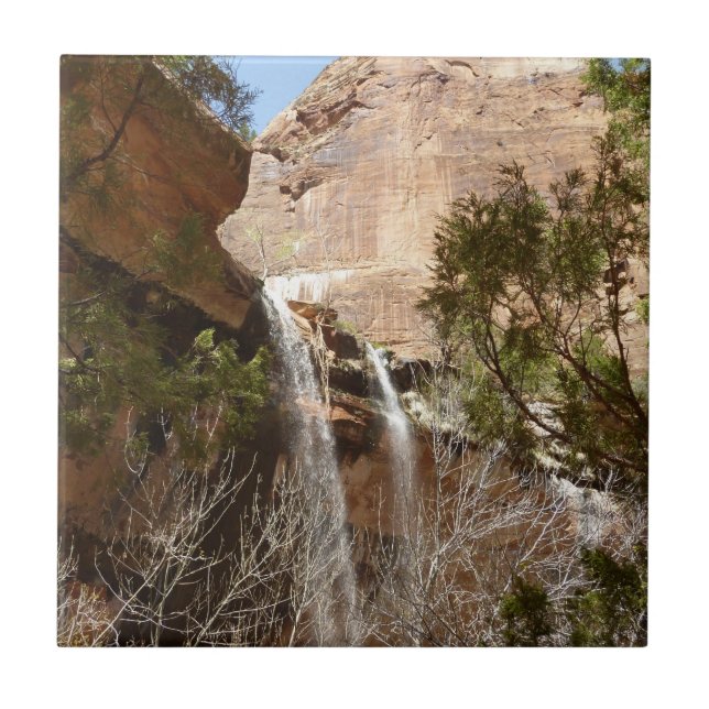 Cachoeira do Emerald Pool I do Parque Nacional de  (Frente)