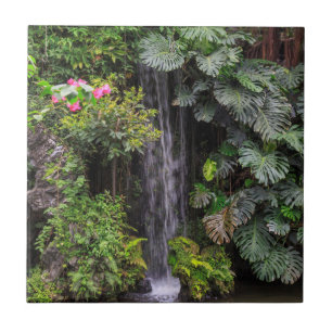 Cachoeira do Jardim Luxuriante, China