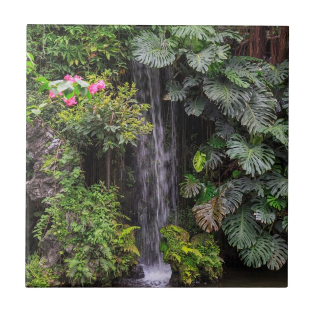 Cachoeira do Jardim Luxuriante, China (Frente)