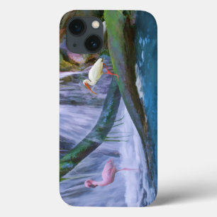 Cachoeira, flamingo, e íbis tropicais