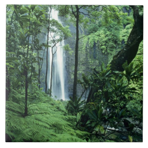 Cachoeira Hanakapiai ao longo da Costa Na Pali, Ka
