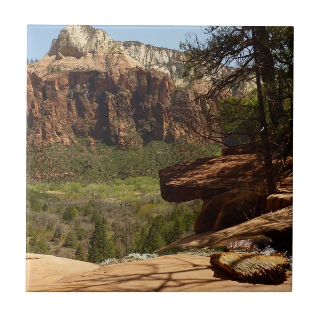 Cachoeira nos Emerald Pools no Zion National Park (Frente)