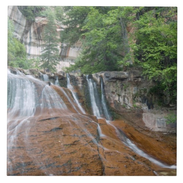 Cachoeira, Parque Nacional Zion, Utah, EUA (Frente)