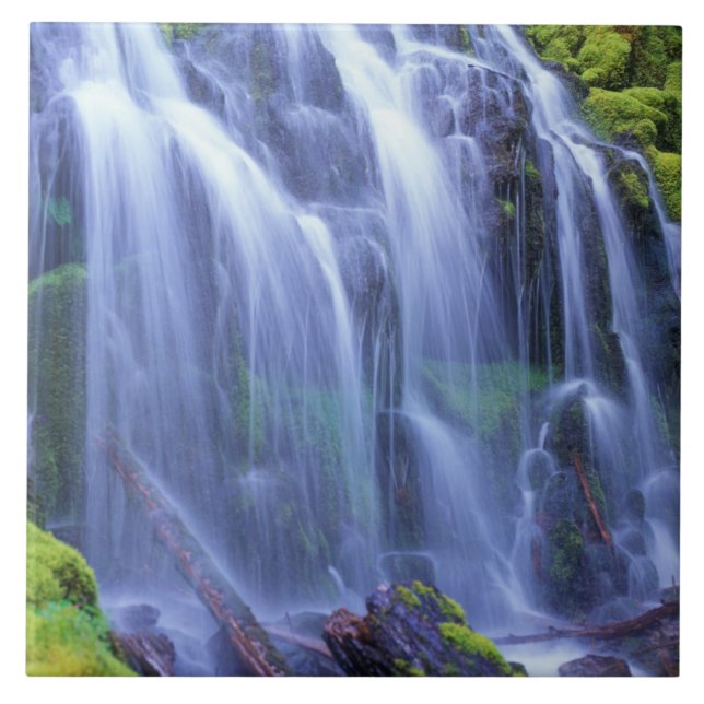 Cachoeira Proxy nas Montanhas Cascade Central de O (Frente)