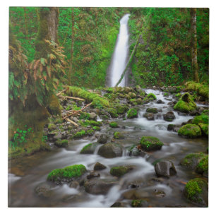 Cachoeira Ruckel Creek, Desfiladeiro do Rio Columb