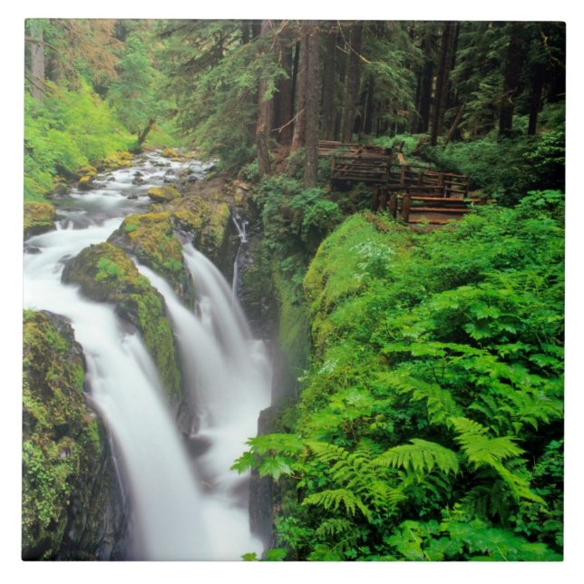 Cachoeira Sol Duc no Parque Nacional Olímpico em (Frente)