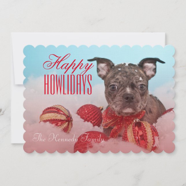 Cachorinha Bonita (Frente)