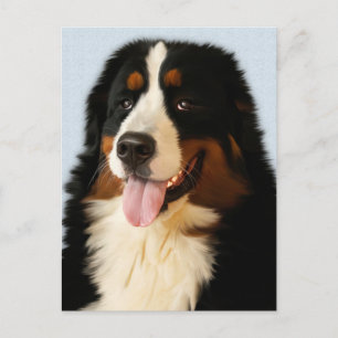 Cachorrinho de Montanha Bernês Cartão Postal em Br