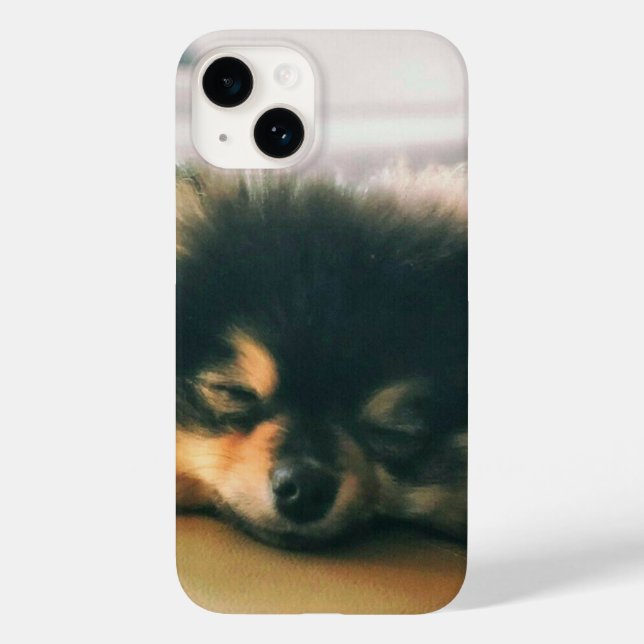 cachorrinho fofo (Verso)