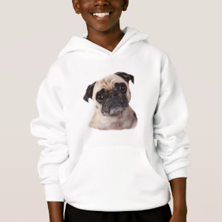 cachorrinho fofo