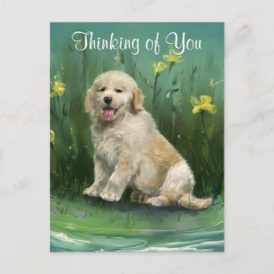 Cachorrinho Golden Retriever Cartão Postal Pensand