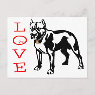 Cachorrinho Pit Bull Cartão Postal em Branco