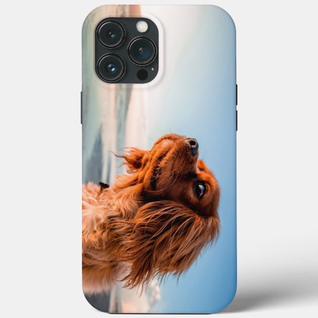 Cachorro Adorável Olhando com Fundo de Céu Azul (Verso)