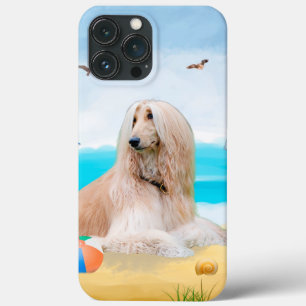 Cachorro afegão na praia