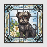 Cachorro Affenpinscher