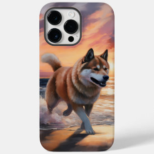 Cachorro Akita Sandy Paws no pôr do sol da praia