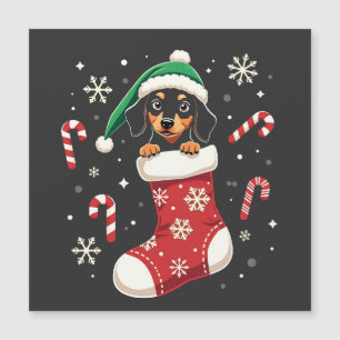 Cachorro Beagle Usando Chapéu de Papai Noel Amante