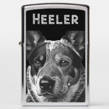 Cachorro Blue Heeler Heeler