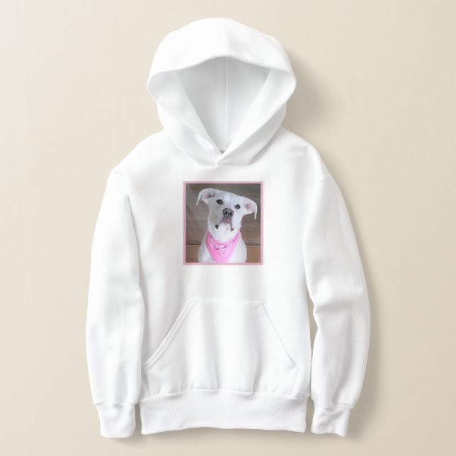 Cachorro bonito em Hoodie Rosa (Postura )