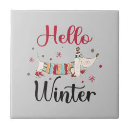 Cachorro Bonito Olá Inverno