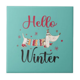 Cachorro Bonito Olá Inverno