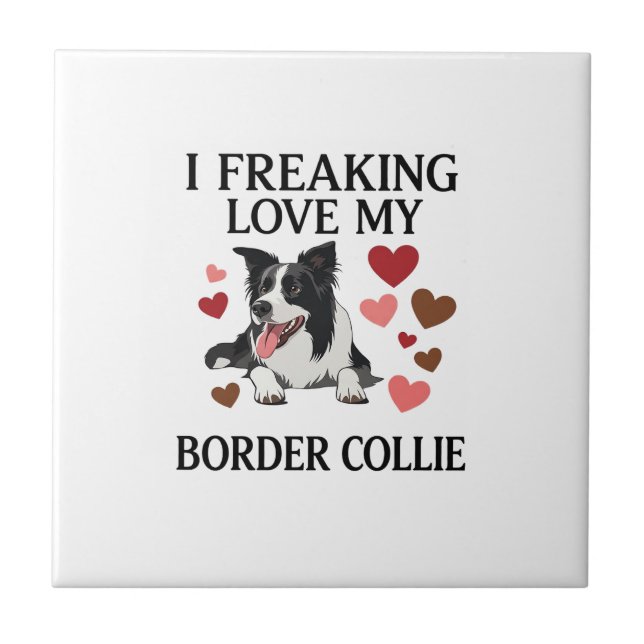Cachorro Border Collie Adorável_1 (Frente)