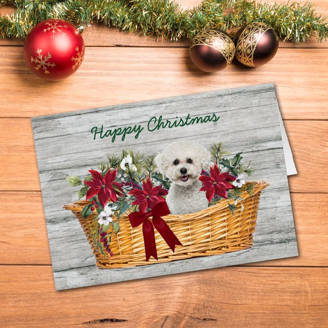 Cachorro Branca da Fome Bichon no Cartão de Natal  (Criador carregado)