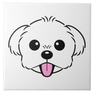 Cachorro Branco Bichon Cachorro Esticando A Língua