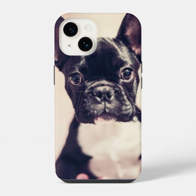 Cachorro branco e preto (Verso)