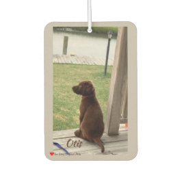 Cachorro-Cachorro-Cachorro e Estaleiro