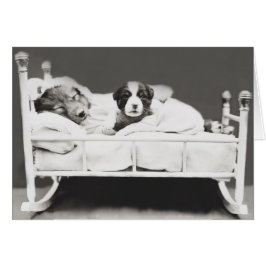 Cachorro Cachorro e Cartão de Cãozinho