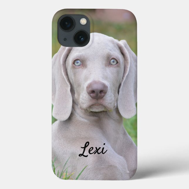 Cachorro-Cachorro Personalizado do Weimaraner (Verso)