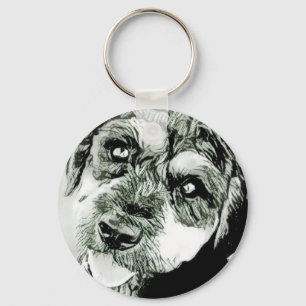 Cachorro Cachorro Rosto Chaveiro