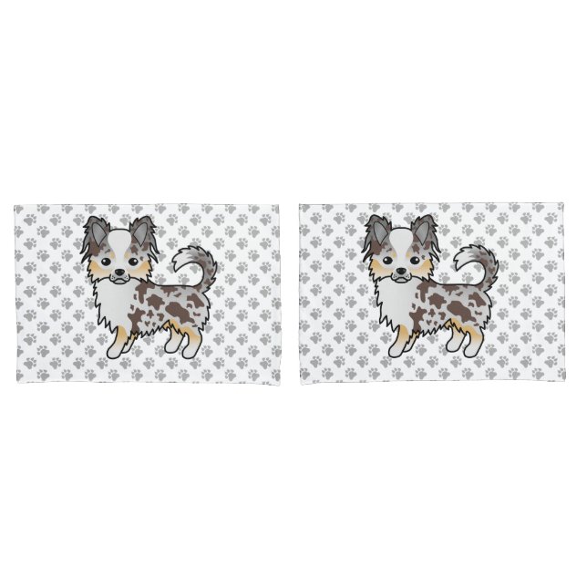 Cachorro Chihuahua de Capa Comprida Merle Chocolat (Frente - conjunto)