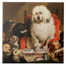 Cachorro como juiz que determina a lei em tribunal