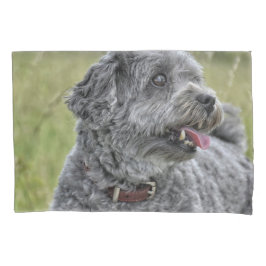 Cachorro Cortado Terrier