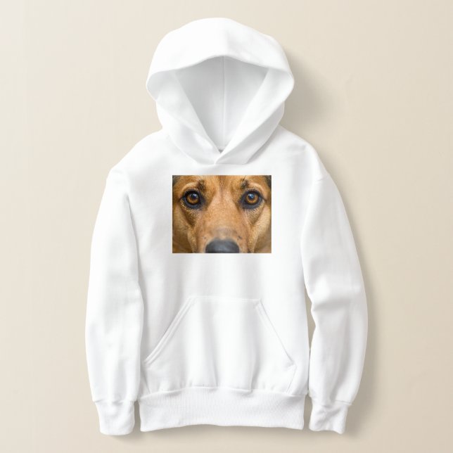 Cachorro Curioso Observando (Postura )
