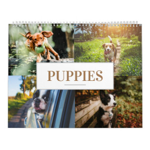 Cachorro da Parede Inicial do Calendário Puppy
