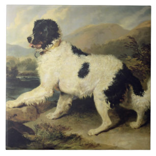 Cachorro da Terra Nova Chamado Leão, 1824 (óleo 