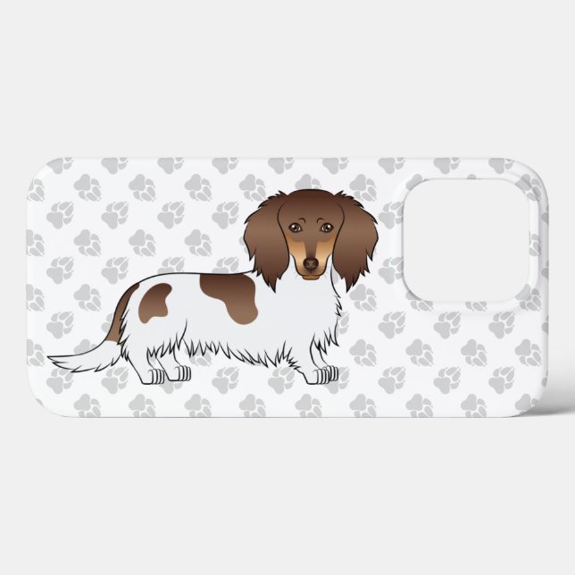 Cachorro Dachshund De Pelo Longo Chocolate E Bege  (Verso (horizontal))