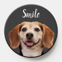 Cachorro de Beagle Cute Sorrindo