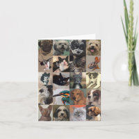 Cachorro de Belas Artes e Gato Obrigado Cartões
