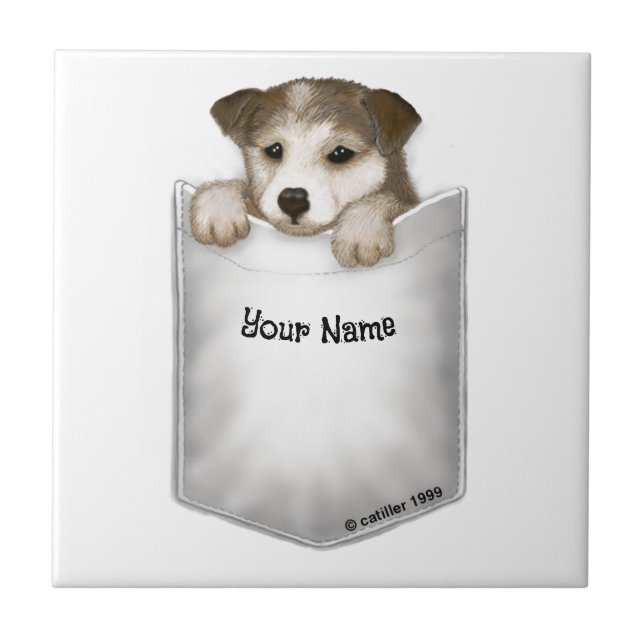 Cachorro de Bolso  (Frente)