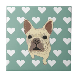 cachorro de Bulldog Francês